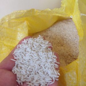 خرید آنلاین برنج درجه یک هاشمی گیلان (10 کیلویی)