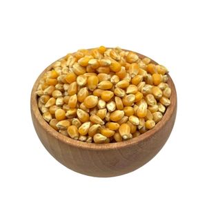 خرید اینترنتی ذرت خشک