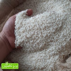 خرید آنلاین برنج طارم محلی ممتاز- 10 کیلویی