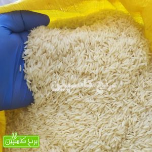 خرید آنلاین برنج شیرودی (10 کیلویی)