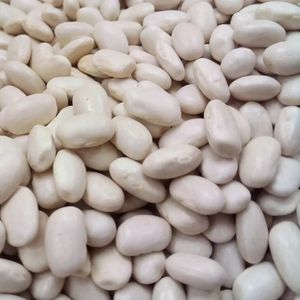 فروش اینترنتی لوبیا سفید